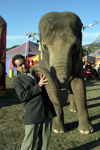 Monk – Tony Shaloub, Dede der Elefant.
