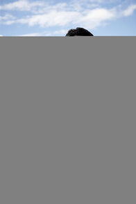Hawaii Five-0 – Hawaii Five-0 (2010)