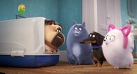 Pets 2 – Pets 2 (2019)