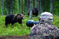 Unterwegs im hohen Norden – In Kainuu, Finnland, faszinieren Flora und Fauna Naturfotografen.