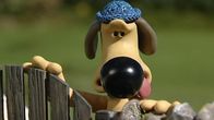 Shaun das Schaf – Die Schafe machen, was sie wollen, Bitzer ist geschafft.