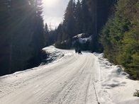 Harrys schönste Zeit – Caroline Krenn und Harry Prünster sausen mit den Schlitten ins Tal.