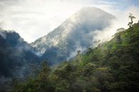 Planet Erde II – Berg-Regenwald in der Chocó-Region Ecuadors. Diese Wälder zählen nicht nur zu den regenreichsten, sondern auch zu den artenreichsten.