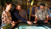 Virtual Designs - Unser Traumgarten wird real – Fr, 03.04., 14:15 Uhr