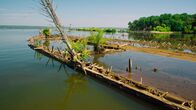 Lost Places – Die Mallows Bay im US-amerikanischen Maryland ist ein regelrechter Schiffsfriedhof.