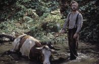 Classix - Filmklassiker im BR: Unterwegs nach Cold Mountain – Auf seiner Reise trifft Inman auf Junior (Giovanni Ribisi), dem er seine Hilfe anbietet.