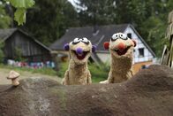 Unser Sandmännchen – Die Erdmännchen Jan und Henry landen auf der Suche nach einer Königin auf einem Bauernhof.