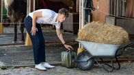 Sturm der Liebe – Philipp (Robin Schick, l.) nutzt die Gelegenheit und entwendet Vincents Tierarztkoffer.