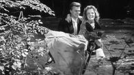 Kitty und die große Welt – Kitty und die große Welt (1956)