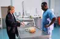 Tatort – Die Aufgabe, die Ellen Berlinger (Heike Makatsch) dem Rechtsmediziner (Jerry Kwarteng) gestellt hat, war etwas speziell: Er sollte eine ermordete Katze obduzieren .