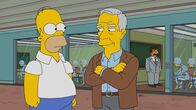 Die Simpsons – Die Simpsons (2017)