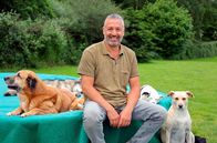 Hunde verstehen! – Hundecoach Andreas Ohligschläger ist in Nordrhein-Westfalen unterwegs und unterstützt Hundehalter, ihre Hunde richtig zu verstehen und Probleme wieder in den Griff zu bekommen.