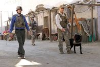 Navy CIS – In Afghanistan wird ein Hundeführer der Marines, Ted LaMere, aus dem Hinterhalt erschossen. Gibbs (Mark Harmon, r.) und McGee (Sean Murray, l.) beginnen mit den Ermittlungen ...
