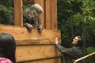 Alaskan Bush People – L-R: Rain Brown, Billy Brown, Bird Brown constructing chicken coop.