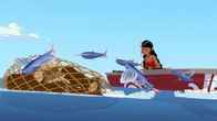 Zoom - Der weiße Delfin – Timeti beobachtet die Fliegenden Fische. Endlich haben sie und ihre Freunde herausgefunden, warum sie verschwunden waren.