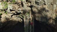Extreme Survival mit Hazen Audel: Safari durch das Rift Valley – Hazen Audel klettert über Baumwurzeln zum Eingang der Höhle. (National Geographic für Disney)