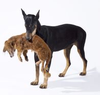 TierART – Auch für seine Werk „Siblings“ arbeitete Künstler Jochem Hendricks mit Präparatoren zusammen und ließ tote Hunde ausstopfen und drapierte sie lebensecht.