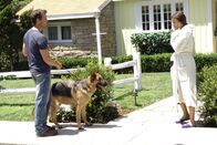 Desperate Housewives – Susan (Teri Hatcher, r.) gibt alles, um ihrem Nachbarn Mike (James Denton, l.) näher zu kommen ...