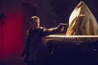 Vampire Diaries – Vampire Diaries (2016)