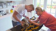 Die Tierärzte - Retter mit Herz – Katze Lucy hat eine Bisswunde erlitten. Nicolas Schrader und Stephanie Petersen prüfen, ob die Wunde sich bereits entzündet hat.