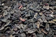 Verfolgt - Das Maskottchen von Auschwitz – 110.000 Schuhe sind Zeugnis für das Ausmaß der Tötungsmaschinerie in Auschwitz, wo mehr als eine Million Menschen ermordet wurden.