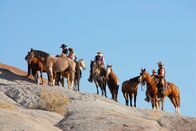 Mustangs - lebende Legenden – Wilde Reise mit Erich Pröll: "Mustangs - Lebende Legenden: Die nach Europa reisen", Die drei jungen Mustangs sind weiterhin in La Barge und werden auf die weiteren Stationen für die Reise nach Österreich vorbereitet. Mustangs werden in Nordamerika von Freizeitreitern und auf Ranches als Cowboypferd verwendet. Eine Besonderheit bietet eine Working Cow Ranch, die am Fuße der Bighorn Mountains über 1.000 Rinder und an die 100 Pferde betreut. Dazu gehört auch eine Guest Ranch - die Hideout Ranch. Hier können Gäste einzigartige Trailritte machen und auch je nach anfallender Rancharbeit echtes Cowboy Feeling erleben. Hier gibt es eine echte Besonderheit. Die City Slickers können hier auch auf Mustangs reiten. Auf der Ranch wurden bereits zwölf Mustangs adopiert, die hier trainiert und zu exzellenten Reitpferden ausgebildet wurden. Für die Ranch gehört der Mustang als Teil vom Westen dazu und möchte das auch an die Reitgäste weitergeben. Für diese Pferde ist der Ritt in die Berge auf über 3.500 Meter Höhe kein Problem. Sie sind zäh, genügsam und leicht zu reiten. Trittsicher im steilen, unwegsamen Gelände und ausdauernd in der Steppe. Im Film wird eine Reitgruppe begleitet, die den Eindruck vermittelt, aus einem Edelwestern entsprungen zu sein. Profi Reiter aus den Niederlanden waren eine Woche lang auf Mustangs unterwegs und sie erzählen voll Begeisterung über ihre Erlebnisse. Der Einsatz der Mustangs hier als Wanderreitpferde, als Partner im schwierigem Gelände und auch auf einen Teil Geschichte Amerikas zu sitzen macht diese Pferde einmalig.
