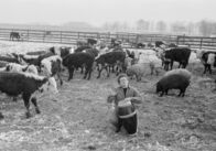 James Dean - Generation Rebell – James Dean, der Junge vom Land, der zum Weltstar wurde.