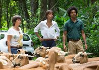 Deadly Tropics – Die Kommissare Gaëlle Crivelli (Béatrice de la Boulaye, l.), Mélissa Sainte-Rose (Sonia Rolland, M.) und Aurélien Charlery (Julien Béramis, r.) beobachten eine Demonstration für Tierrechte. Ist ihre Sprecherin in den aktuellen Mordfall verwickelt?