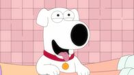 Family Guy – Brian Griffin