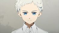 The Promised Neverland – Norman