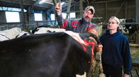 Azubi Storys – Kühe Besamen gehört dazu: Ausbilder Sönke (l.) mit Azubi und zukünftigem Landwirt Jeffrey.