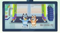Bluey – In der Apotheke haben Bluey und Bingo Spaß daran