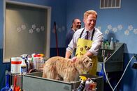 Modern Family – Mitchell Pritchett (Jesse Tyler Ferguson).