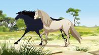 Lenas Ranch – Mistral trifft eine wilde, rossige Stute.