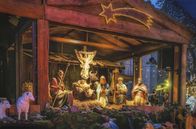 Tobis Städtetrip – Impressionen vom Rüdesheimer Weihnachtsmarkt.