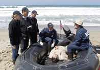 Navy CIS – Das Team muss herausfinden, ob es sich bei dem Feuer auf einem Schiff der US-Marine um einen Unfall oder einen Terroranschlag handelt: Bishop (Emily Wickersham, l.), DiNozzo (Michael Weatherly, 2.v.l.), McGee (Sean Murray, 3.v.l.), Palmer (Brian Dietzen, 3.v.r.) und Dr. Mallard (David McCallum, r.) ...
