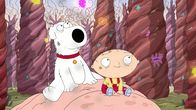 Family Guy – Brian Griffin (l.); Stewie Griffin (r.)