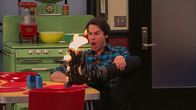 iCarly – Spencer Shay (Jerry Trainor)