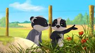 Mama Fuchs und Papa Dachs – Luis und Matteo sind müde, sich suchen schon so lange Blumen für Oma Fuchs.