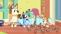 Bluey – L-R: Chilli, Bluey, Bingo