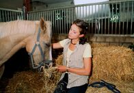 Alina – MDR Fernsehen ALINA TEIL 2, "Die Pferdeflüsterin" Uhr. Große Liebe: Alina (Marett Katalin Klahn) mit ihrem Traumpferd Silverado in einer Box.