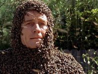 Malcolm mittendrin – Hal (Bryan Cranston) wurde von seiner eigenen "Bienen-Kanone" beschossen.