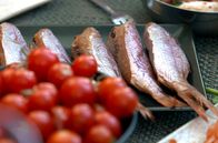 Zu Tisch ... – Geräucherte Rotbarben und frische Tomaten