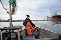 Im Bauch von ... – Fischer Otto Scheel fischt in den Gewässern rund um Hamburg Zander, der frisch auf dem Isemarkt verkauft wird.