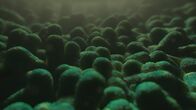 Die Macht der Elemente – Mikroben sind die kleinsten Lebewesen, aber sie haben eine riesige Wirkung.
