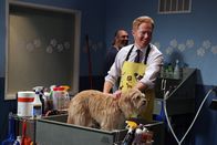 Modern Family – Mitchell Pritchett (Jesse Tyler Ferguson).