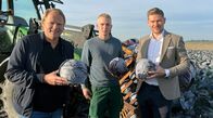 Der Vorkoster – Björn Freitag (l.) lässt sich von Landwirt Darck Wittmaack (M.) und Lebensmittelproduzent Moritz Mertens (r.) zeigen, wie Rotkohl angebaut wird.