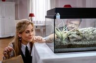 Sturm der Liebe – Als Erik (Sven Waasner, hinten r. mit Tanja Lanäus, l.) sich um das Terrarium kümmert, glaubt er, dass die Spinne ausgebrochen ist.; ARD STURM DER LIEBE FOLGE 4275 Uhr im ERSTEN. Als Erik (Sven Waasner, hinten r. mit Tanja Lanäus, l.) sich um das Terrarium kümmert, glaubt er, dass die Spinne ausgebrochen ist.