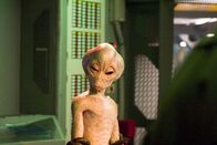 Stargate Atlantis – Fr, 23.10., 04:25 Uhr