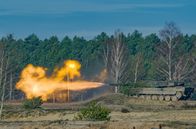 Das geheime Leben der Rothirsche – Auf den Truppenübungsplätzen in der Lausitz übernehmen Panzerketten, was große Pflanzenfresser über Jahrtausende schon immer getan haben: Sie verhindern, dass Wald wächst.